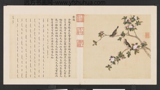 鸟谱（三）册金翅.jpg