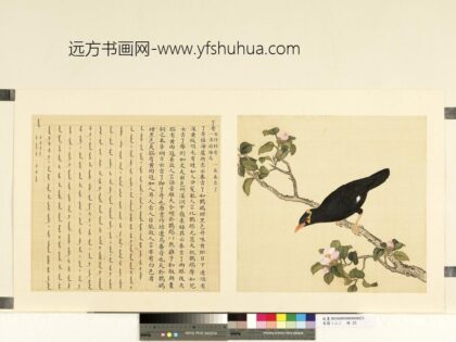 鸟谱（二）册了哥.jpg