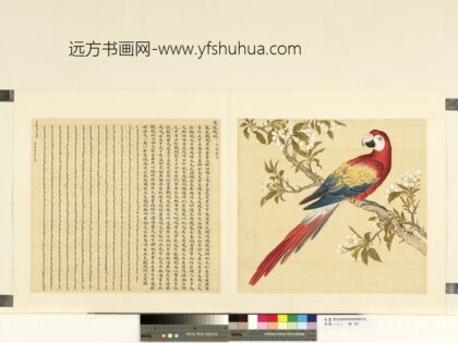 鸟谱（二）册凤凰鹦鹉.jpg