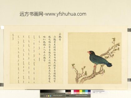 鸟谱（二）册山鹦哥.jpg
