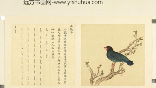 鸟谱（二）册山鹦哥.jpg