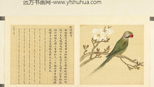 鸟谱（二）册柳绿鹦哥.jpg