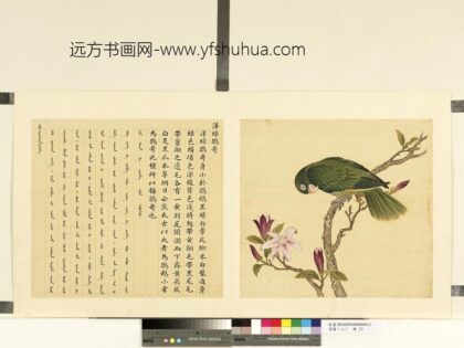 鸟谱（二）册洋绿鹦哥.jpg