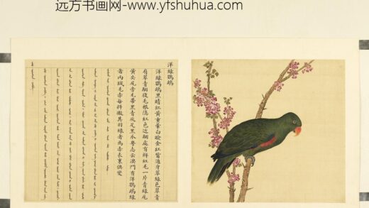 鸟谱（二）册洋绿鹦鹉.jpg