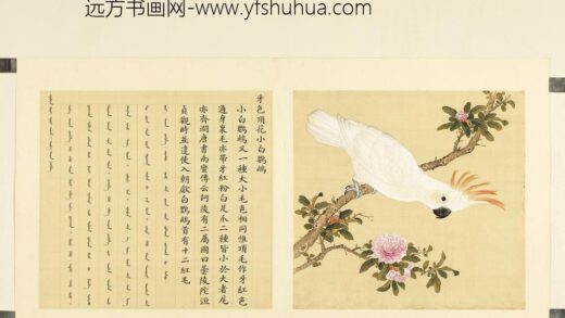 鸟谱（二）册牙色顶花小白鹦鹉.jpg
