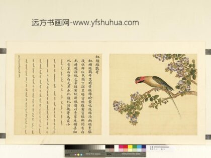 鸟谱（二）册红颊绿鹦哥.jpg