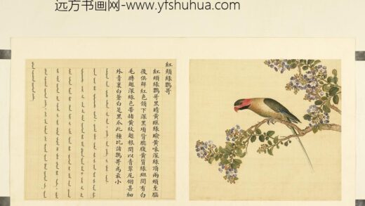 鸟谱（二）册红颊绿鹦哥.jpg