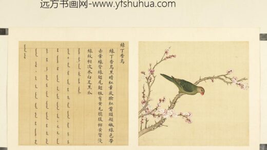 鸟谱（二）册绿丁香鸟.jpg