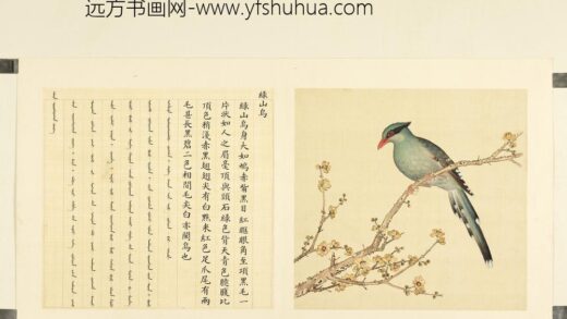 鸟谱（二）册绿山乌.jpg