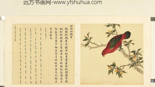 鸟谱（二）册绿翅红鹦哥.jpg
