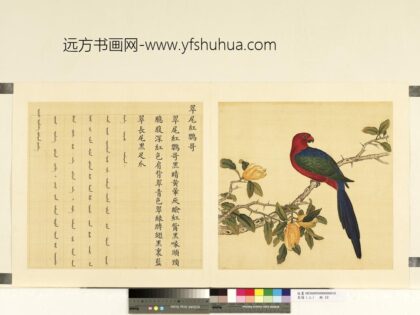 鸟谱（二）册翠尾红鹦哥.jpg