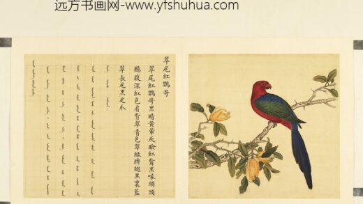 鸟谱（二）册翠尾红鹦哥.jpg