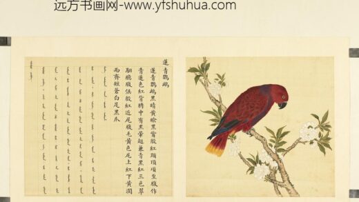 鸟谱（二）册莲青鹦鹉.jpg