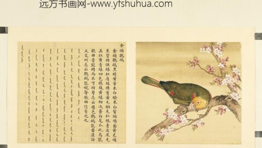 鸟谱（二）册金头鹦鹉.jpg