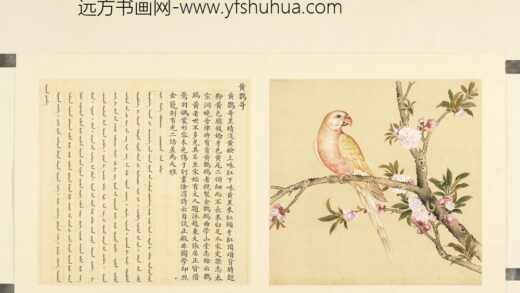鸟谱（二）册黄鹦哥.jpg