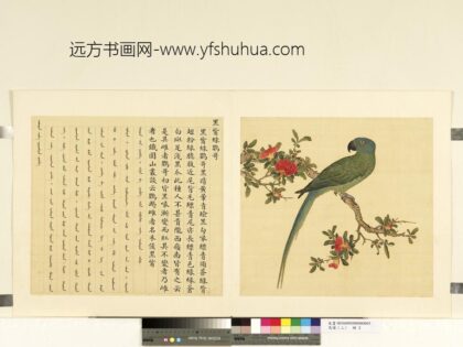 鸟谱（二）册黑嘴绿鹦哥.jpg