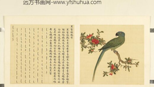 鸟谱（二）册黑嘴绿鹦哥.jpg