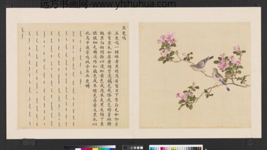 鸟谱（四）册五更鸣.jpg