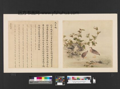 鸟谱（四）册北牛鹌.jpg