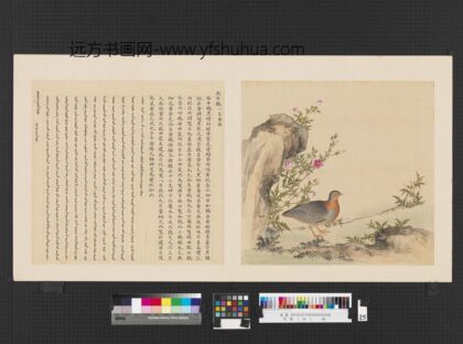鸟谱（四）册南牛鹌.jpg