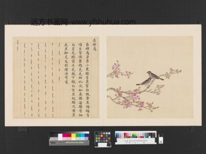 鸟谱（四）册吉祥鸟.jpg