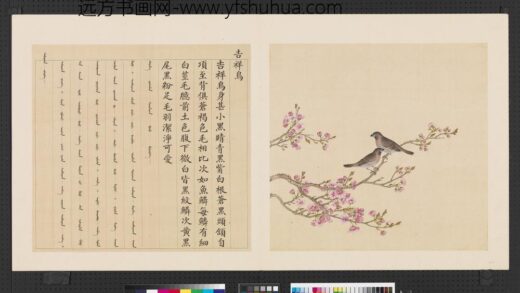 鸟谱（四）册吉祥鸟.jpg