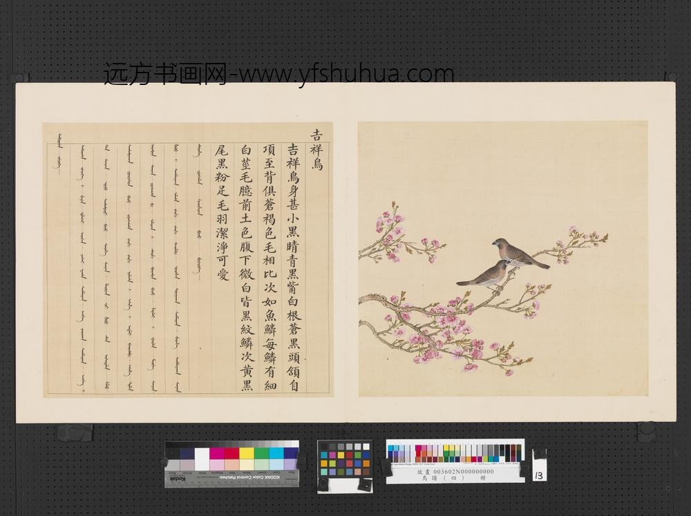 鸟谱（四）册吉祥鸟