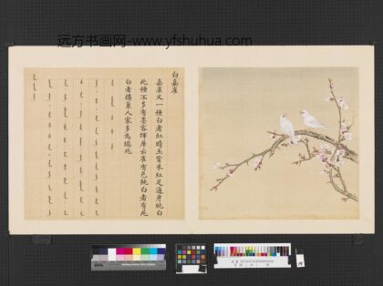 鸟谱（四）册白嘉雀.jpg