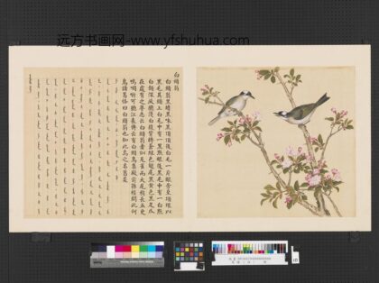 鸟谱（四）册白头翁.jpg