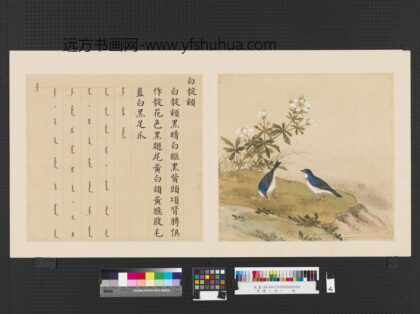 鸟谱（四）册白靛颏.jpg