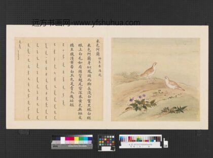 鸟谱（四）册米色阿兰.jpg