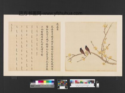 鸟谱（四）册花嘉雀.jpg