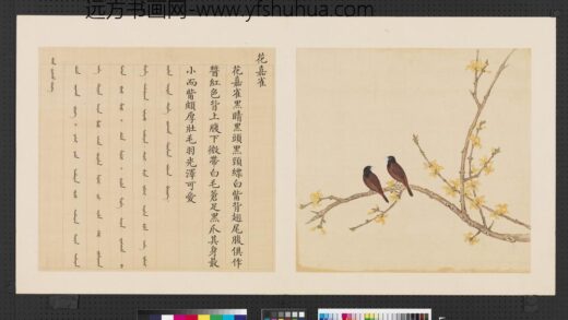 鸟谱（四）册花嘉雀.jpg