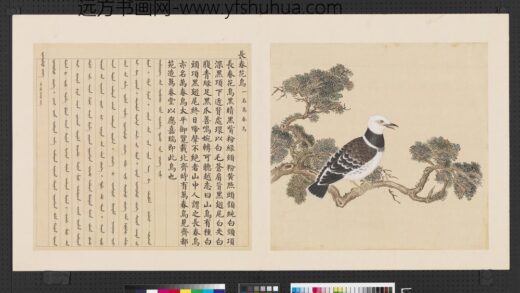 鸟谱（四）册长春花鸟.jpg