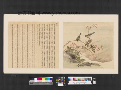 鸟谱（四）册黄雀.jpg
