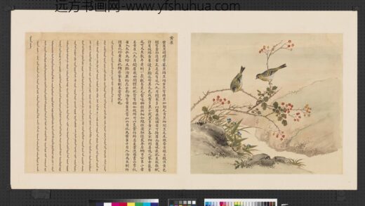 鸟谱（四）册黄雀.jpg