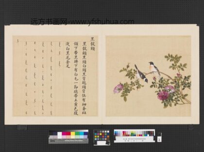 鸟谱（四）册黑靛颏.jpg
