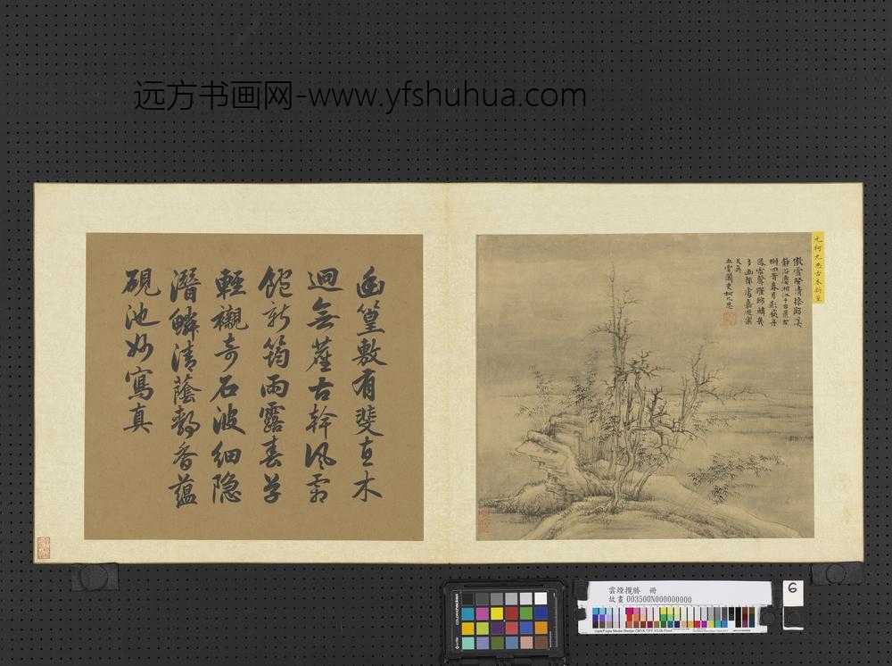 云烟揽胜册-元柯九思古木新篁