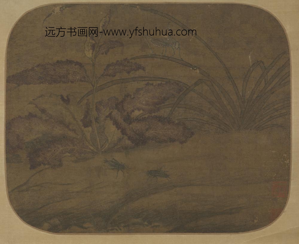 元-元人坡蔬昆虫页