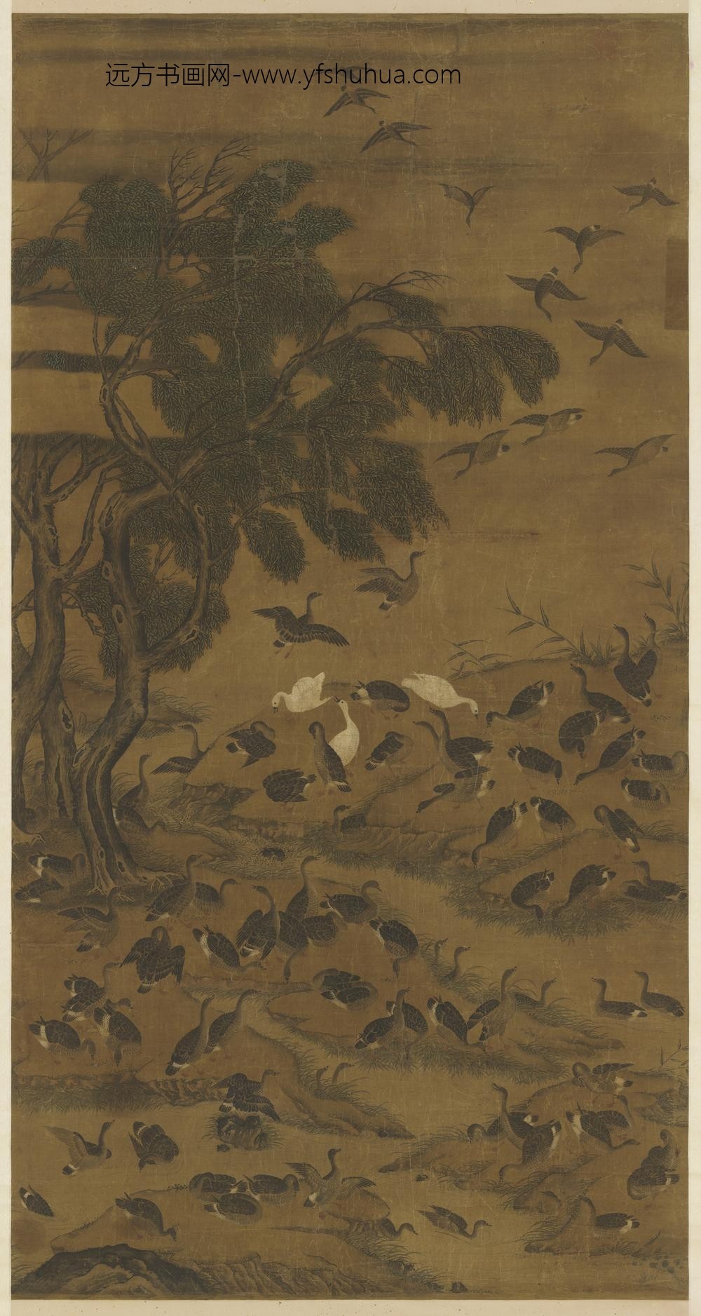 元人画百雁图轴