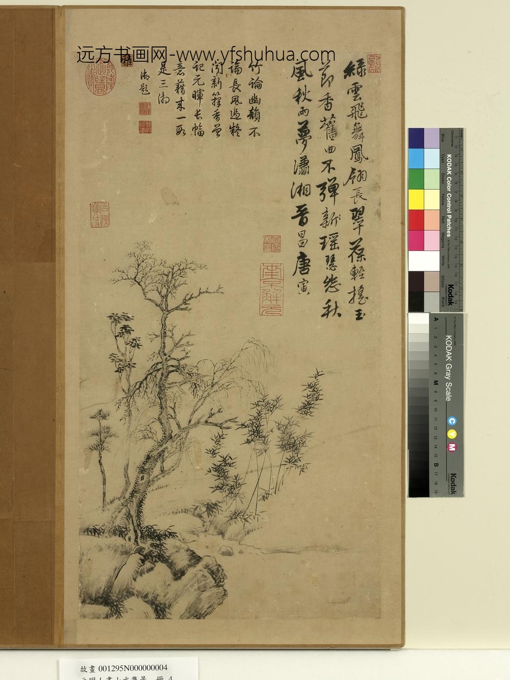 元明人画山水集景册-明唐寅枯木竹石