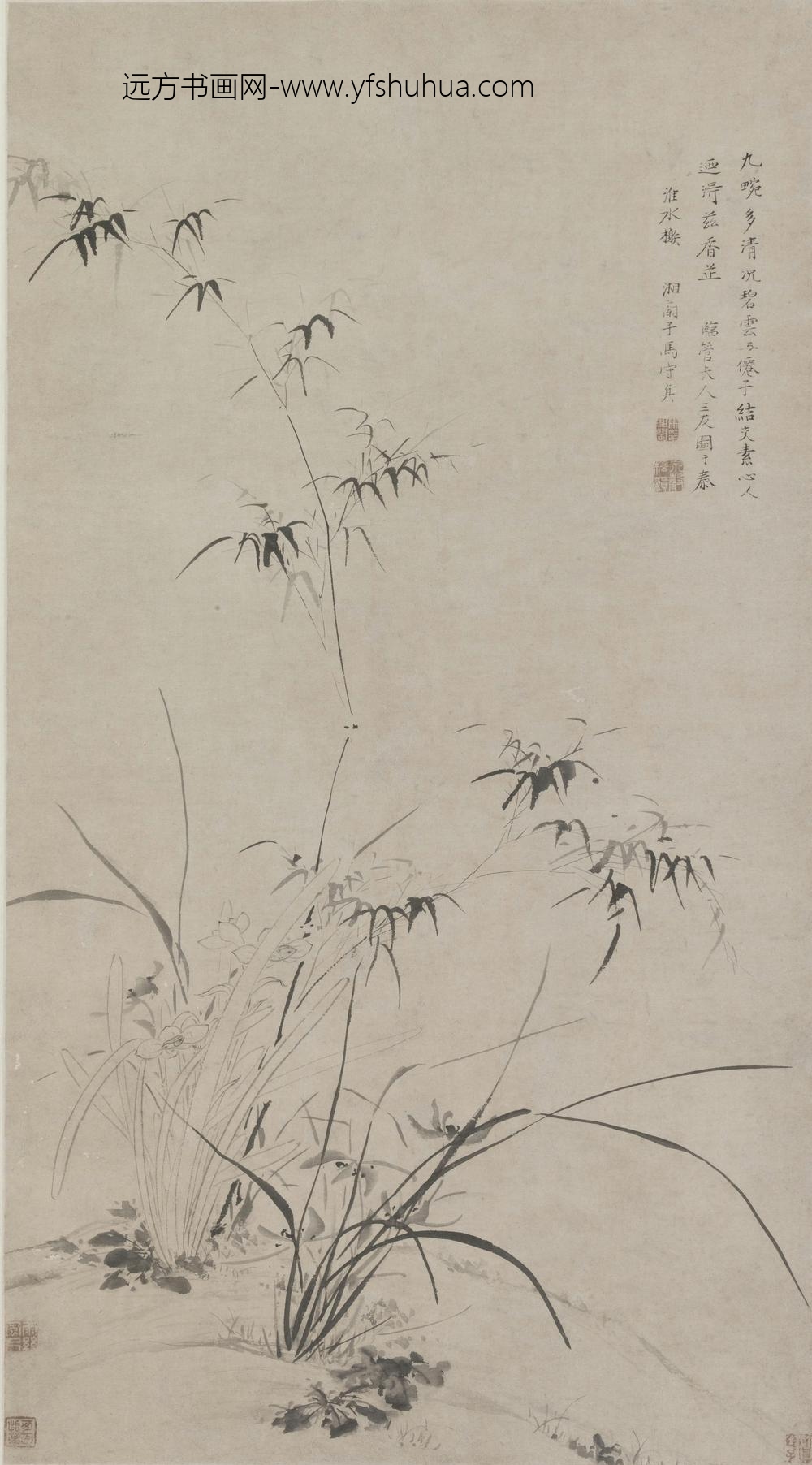 兰竹水仙轴（开）