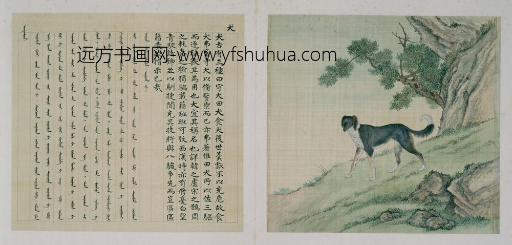 兽谱图册—犬