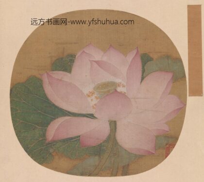 出水芙蓉图页.jpg