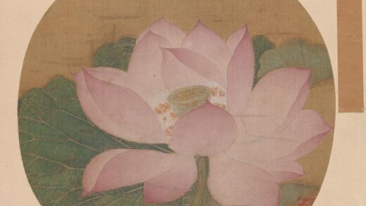 出水芙蓉图页.jpg