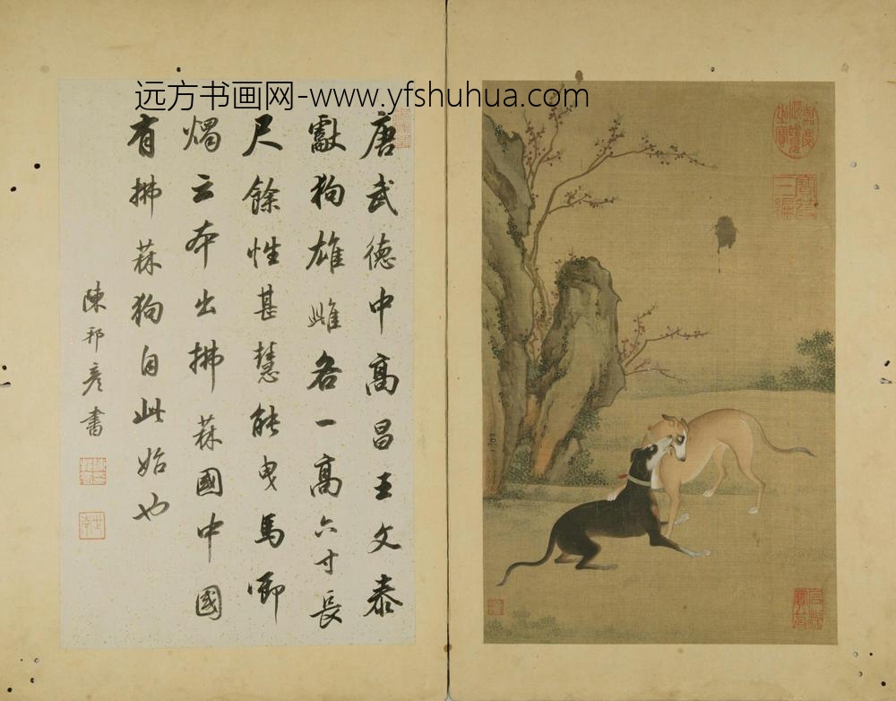 十犬图册-