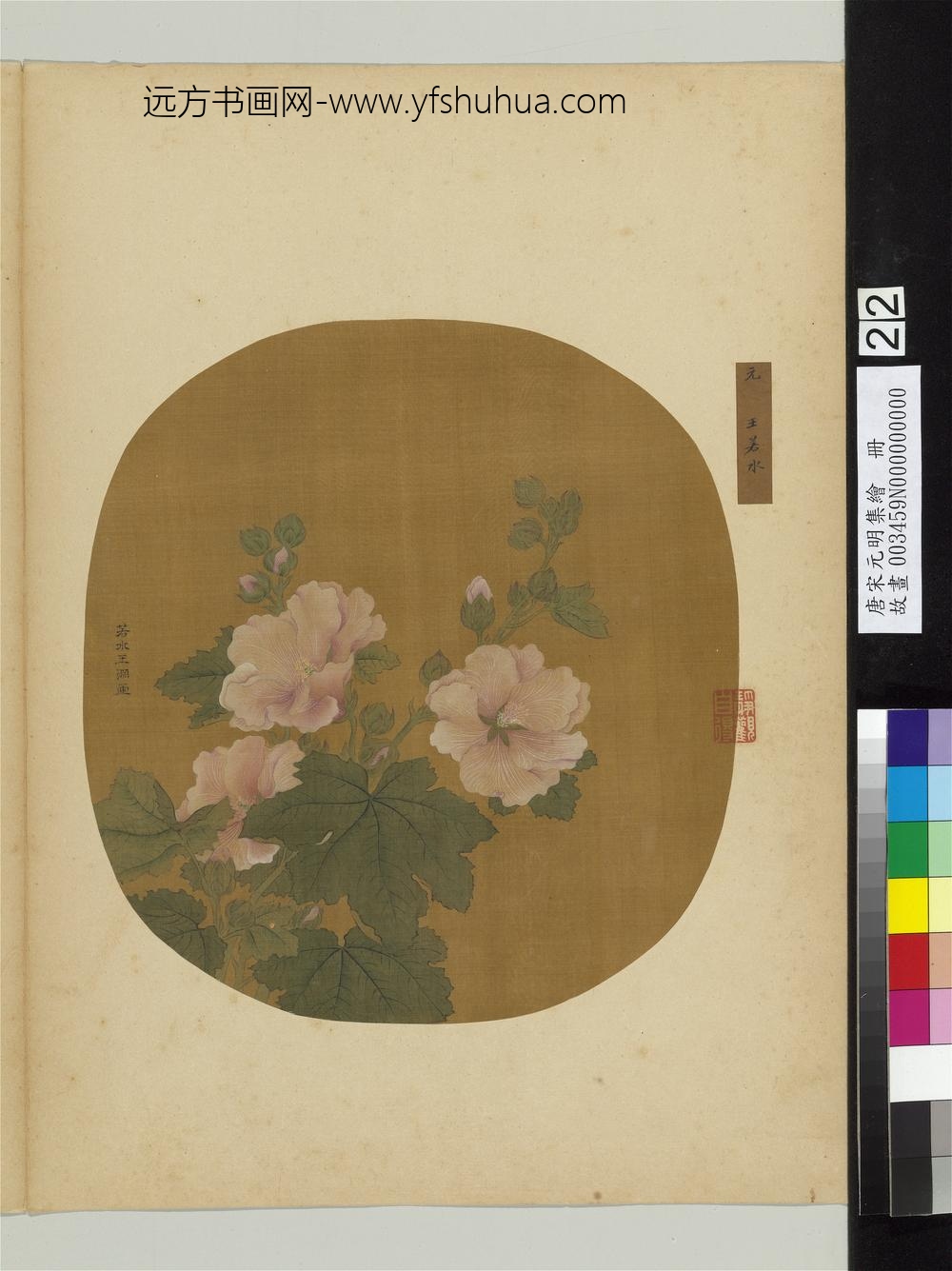 唐宋元明集绘册-元王渊画蜀葵