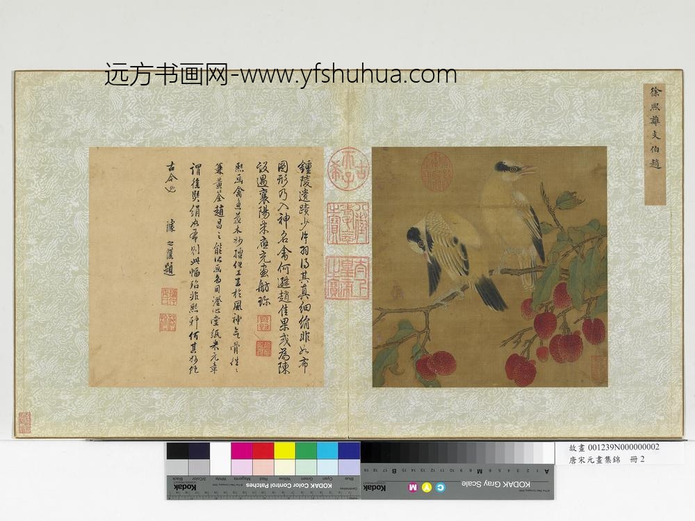 唐宋元画集锦册-五代徐熙离支伯赵