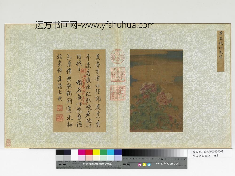 唐宋元画集锦册-五代黄筌秋江芙蓉