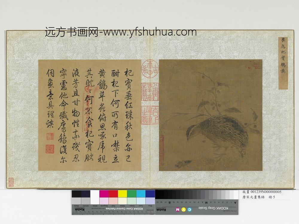 唐宋元画集锦册-宋崔悫杞实鹌鹑